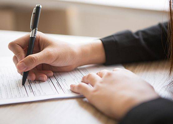 DODATEK OSŁONOWY 2024 r. grafika