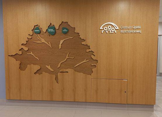 Grafika 17: Konferencja "Opieka wytchnieniowa jako forma wsparcia opiekunów rodzinnych - realia i wyzwania"