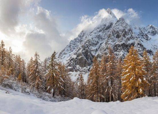 ZIMOWSKO DLA DZIECI ROLNIKÓW grafika