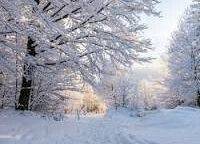 Wypoczynek zimowy dla dzieci z KRUS i nie tylko ! grafika