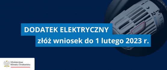 zdjęcie podglądowe grafika